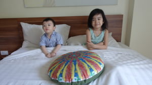 hamilo coast pico de loro